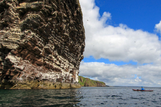Cliffs near An Dun Sea Kayak Helmsdale to Dunbeath
