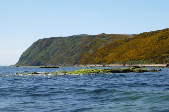 Looking towards King's Cave Sea Kayak North Sutor