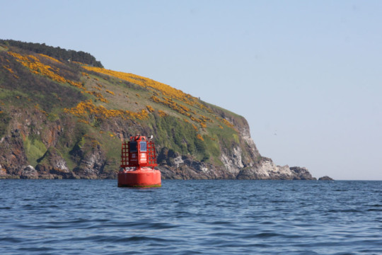 Looking across to North Sutors Sutors Stacks