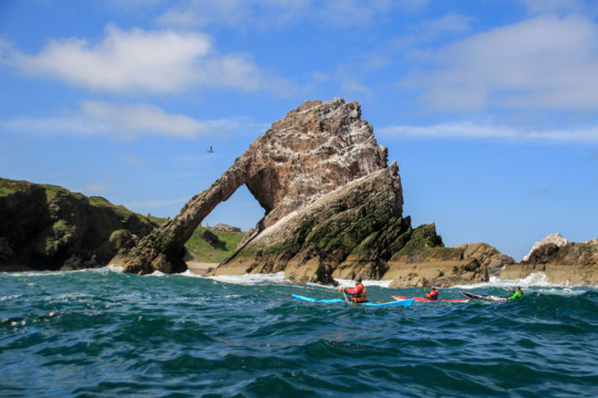 Bow Fiddle Rock Sea Kayak Bow Fiddle Rock
